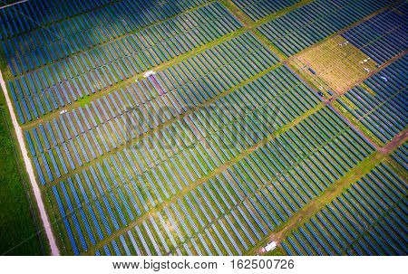 Solar Farm Aerial Drone View From High Above Central Texas Landscape Summer View Of Greens And Partl