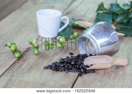 Fresh coffee beans on wood with a moga pot