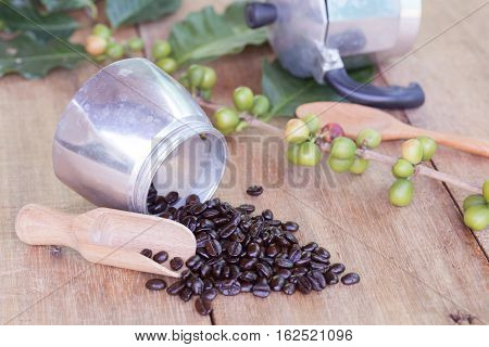 Fresh coffee beans on wood with a moga pot