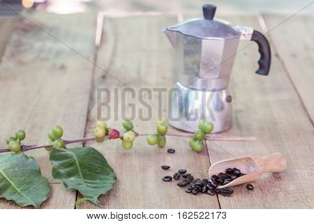Fresh coffee beans on wood with a moga pot