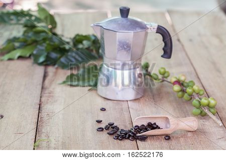 Fresh coffee beans on wood with a moga pot