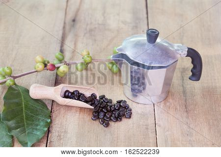 Fresh coffee beans on wood with a moga pot