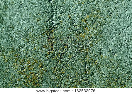 Weathered Green Wall With Moss.