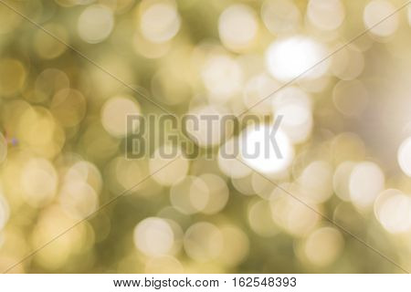 Abstract bokeh of tree background, beautiful color.