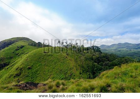 Trekking around Munnar tea estate hills in Kerala Idukki district India