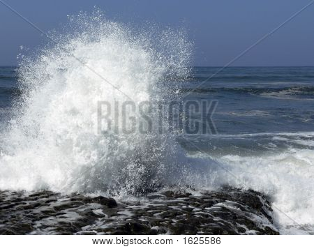 Seaspray 