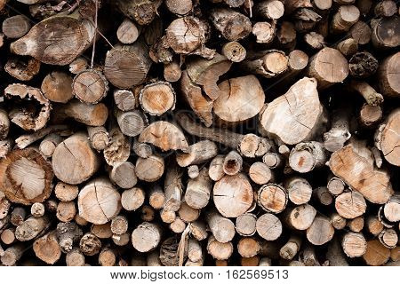 large pile of wooden logs of hard wood for heating in the house
