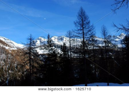 Champoluc bjerge