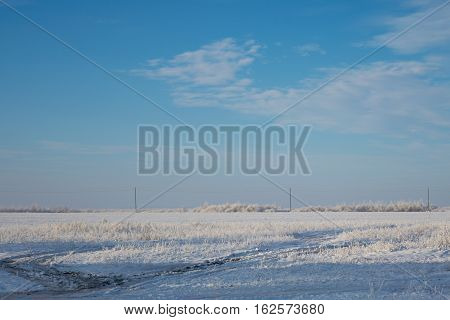 Photo by winter snowbound field with bushes and power line.