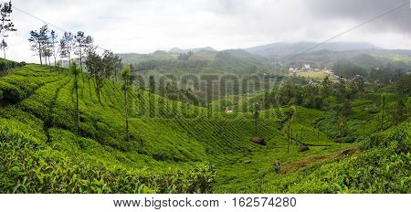 Panoramic view in Munnar in western Ghats Kerala Idukki district India