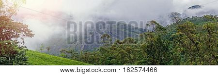 Panoramic view in Munnar in western Ghats Kerala Idukki district India