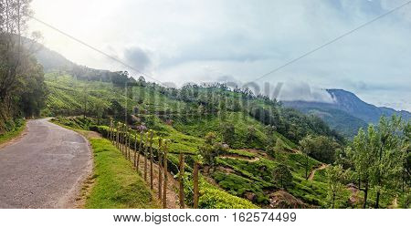 Panoramic view in Munnar in western Ghats Kerala Idukki district India