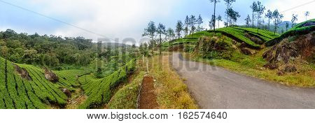 Panoramic view in Munnar in western Ghats Kerala Idukki district India