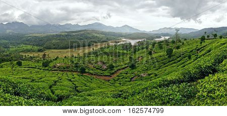 Panoramic view in Munnar in western Ghats Kerala Idukki district India