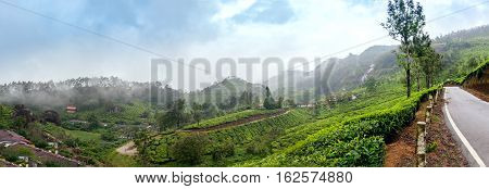 Panoramic view in Munnar in western Ghats Kerala Idukki district India