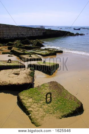 Shore Scene