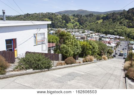 The view from the top of Baldwin Street the steepest street in the world (Dunedin New Zealand).
