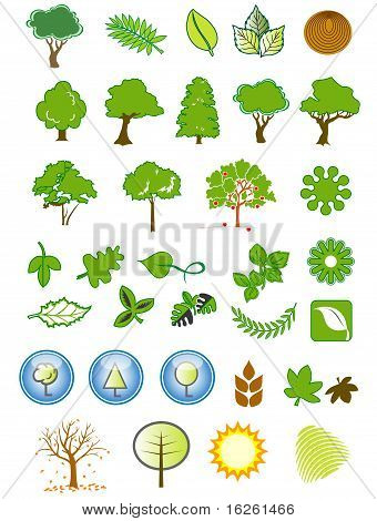 Los iconos naturales y elementos de diseño