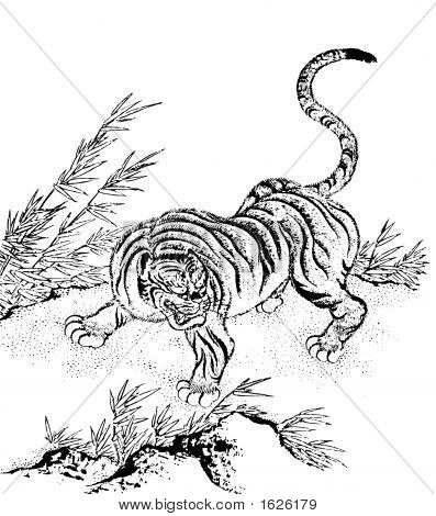 Tigre