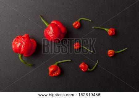 Red hot Trinidad moruga scorpion peppers on black background