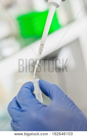 Scientific Laboratory Technician Pipetting. Macro Shot