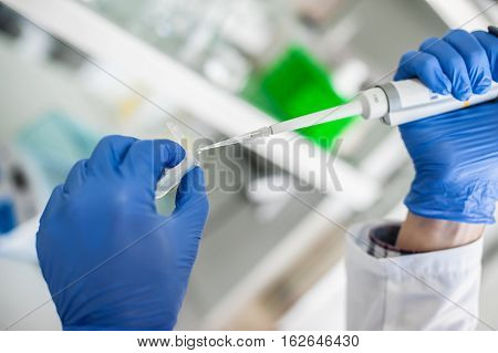 Scientific Laboratory Technician Pipetting. Macro Shot