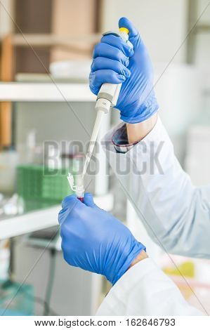 Scientific Laboratory Technician Pipetting. Macro Shot
