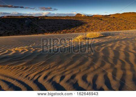 Sand Dune With Blowing Sand At Sunset Near Nixon, Nevada