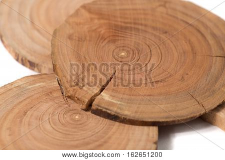 Concept dendrochronology. tree trunks clearly visible annual rings, round slices of trees, white background