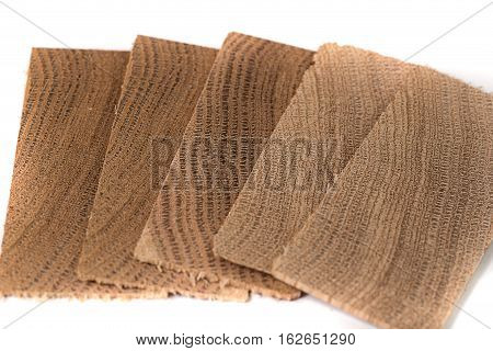 Concept dendrochronology. tree trunks clearly visible annual rings, square, rectangular slices of trees, white background
