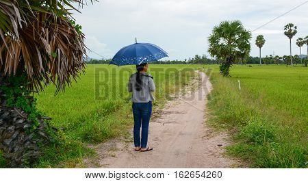 Landscape Of Countryside In Mekong Delta, Vietnam