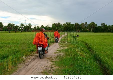 Landscape Of Countryside In Mekong Delta, Vietnam
