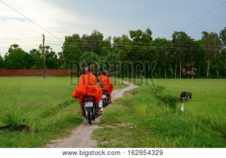Landscape Of Countryside In Mekong Delta, Vietnam