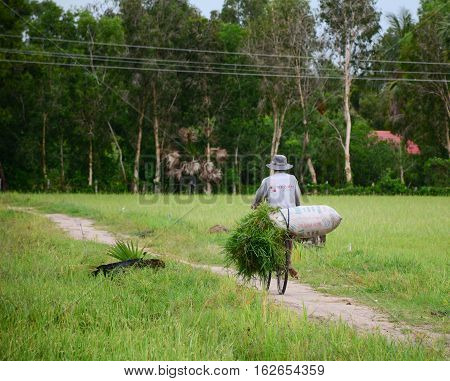 Landscape Of Countryside In Mekong Delta, Vietnam