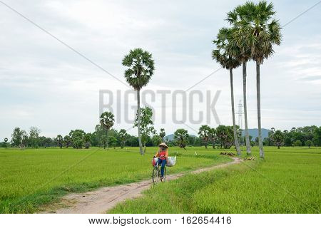 Landscape Of Countryside In Mekong Delta, Vietnam