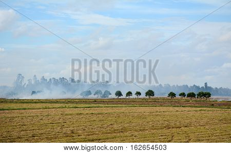 Landscape Of Countryside In Mekong Delta, Vietnam