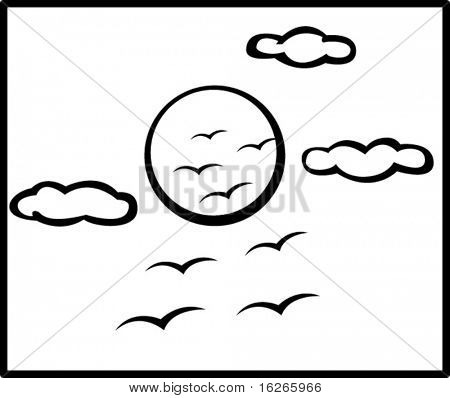 birds flying in the sun