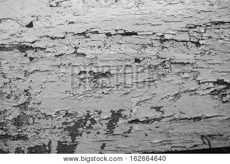Black and white distressed wooden painted texture. Monochrome texture with obsolete paint stucco. Painted distressed surface closeup. Cracked paint close-up image. Weathered wooden texture background
