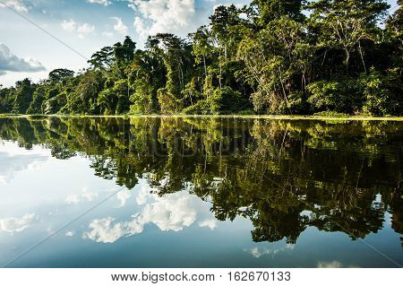 Reflected jungle in the Limoncocha lagoon in the Ecuadorian Amazon