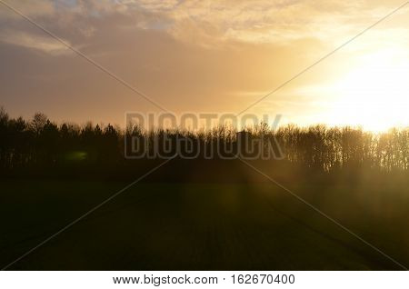 Sun Light Field Tree Evening Morning Sunset
