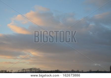 Cloud white landscape tree field nobody colored