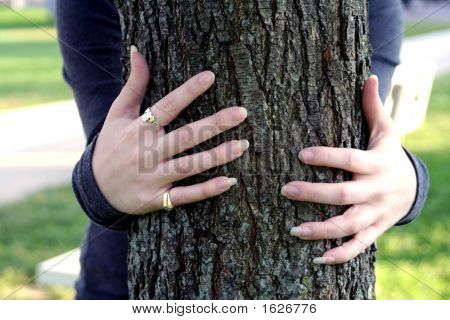 Abbracciare un albero