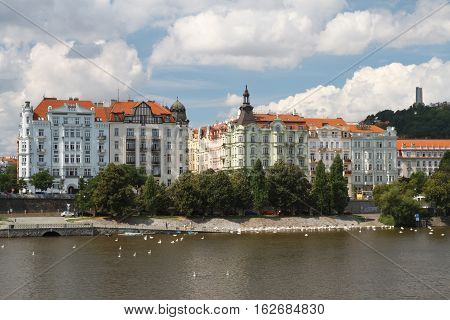 Embankment Prague District Smíchov, Swans On The Vltava River