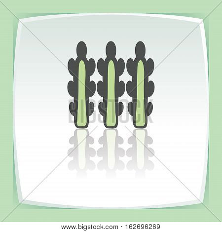 Vector outline asparagus vegetable food icon on white flat square plate. Elements for mobile concepts and web apps. Modern infographic logo and pictogram.