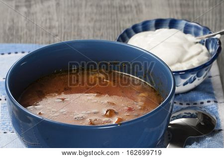 Russian cabbage soup (Shchi) in ceramic bowl