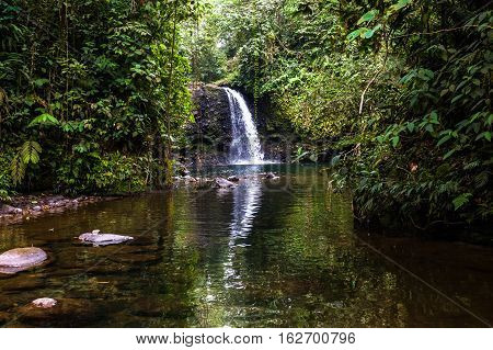 Waterfall in the middle of the Ecuadorian jungle