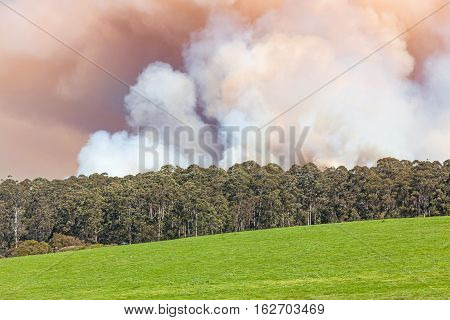 Forest Fire In Australia