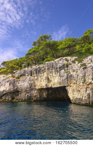 Nature landscape of Gargano National Park: coast of Tremiti Islands' archipelag,Italy (Apulia).Sea (or littoral ) cave topped by Pinus halepensis (or Aleppo pine ) native to the Mediterranean region.