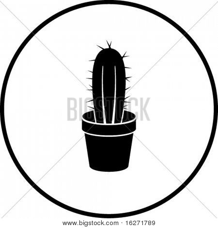 cactus in a pot