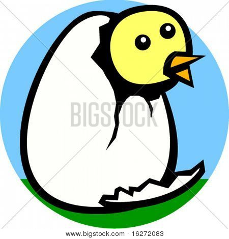 dziecko kurczaka lub laska w podziale jaj